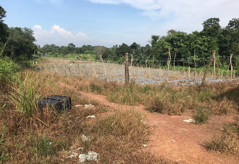 5 Ekar Tanah Pertanian Alor Gajah, Melaka for Sale | NEAR AMENITIES, NEAR MAIN ROAD LEBUH AMJ