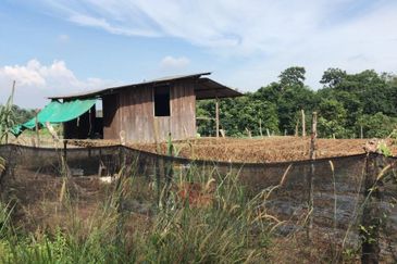 5 Ekar Tanah Pertanian Alor Gajah, Melaka for Sale | NEAR AMENITIES, NEAR MAIN ROAD LEBUH AMJ