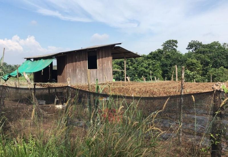 5 Ekar Tanah Pertanian Alor Gajah, Melaka for Sale | NEAR AMENITIES, NEAR MAIN ROAD LEBUH AMJ