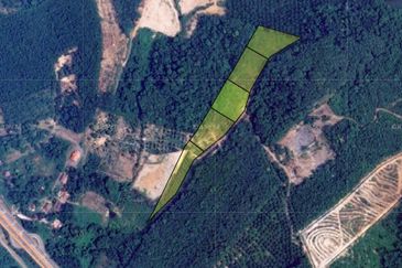 5 Ekar Tanah Pertanian Alor Gajah, Melaka for Sale | NEAR AMENITIES, NEAR MAIN ROAD LEBUH AMJ