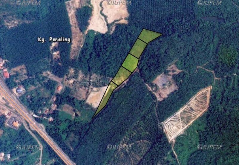 5 Ekar Tanah Pertanian Alor Gajah, Melaka for Sale | NEAR AMENITIES, NEAR MAIN ROAD LEBUH AMJ