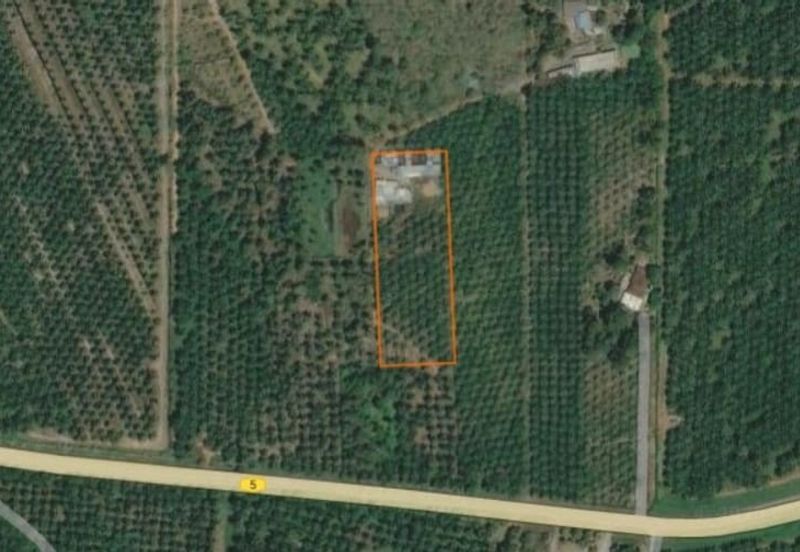 Kampung Sungai Ayer Hitam, Linggi Agricultural Land for Sale | 3 Ekat Tanah Kelapa Sawit Bersama Ladang Fidlot