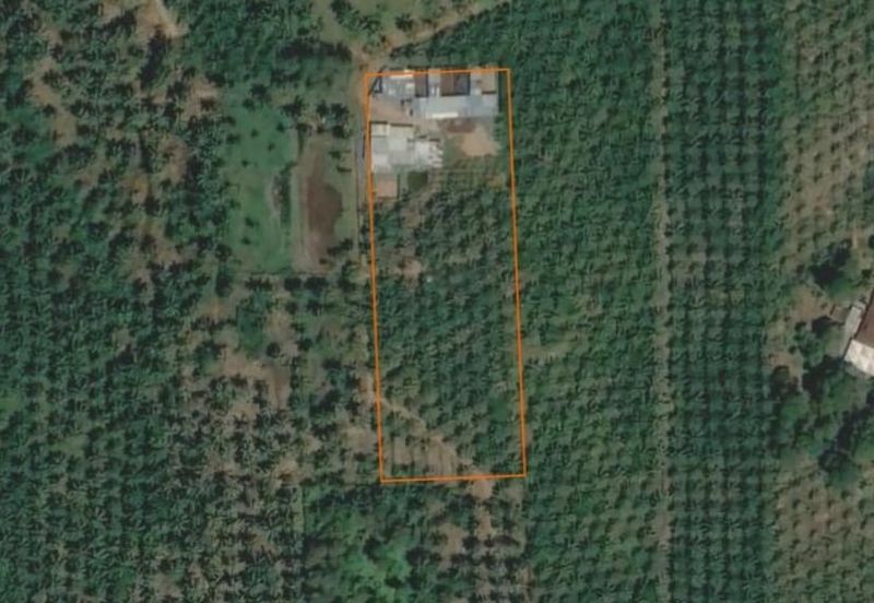 Kampung Sungai Ayer Hitam, Linggi Agricultural Land for Sale | 3 Ekat Tanah Kelapa Sawit Bersama Ladang Fidlot