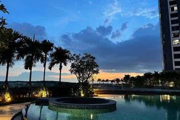 Dianthus @ Tropicana Gardens