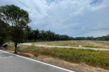 🔥🔥 Tanah Malay Reserved Di Sri Gading Parit Burah Parit Raja Pahat Geran Individu Untuk Dijual 🔥🔥