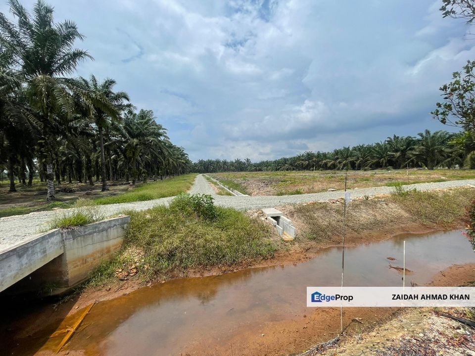 🔥🔥 Tanah Malay Reserved Di Sri Gading Parit Burah Parit Raja Pahat Geran Individu Untuk Dijual 🔥🔥, Johor, Batu Pahat