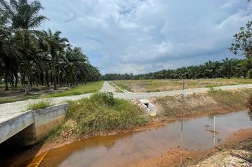🔥🔥 Tanah Malay Reserved Di Sri Gading Parit Burah Parit Raja Pahat Geran Individu Untuk Dijual 🔥🔥