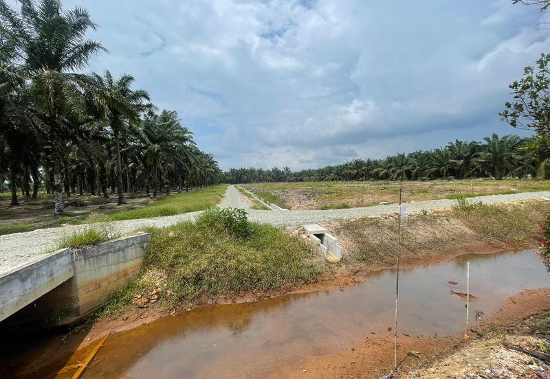 🔥🔥 Tanah Malay Reserved Di Sri Gading Parit Burah Parit Raja Pahat Geran Individu Untuk Dijual 🔥🔥
