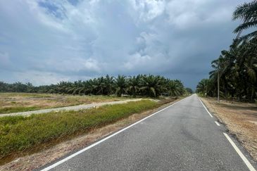 🔥🔥 Tanah Malay Reserved Di Sri Gading Parit Burah Parit Raja Pahat Geran Individu Untuk Dijual 🔥🔥
