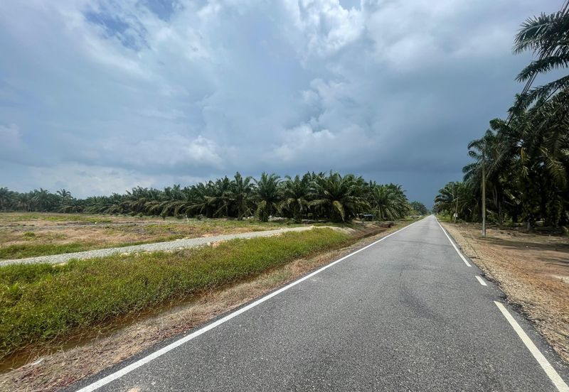 🔥🔥 Tanah Malay Reserved Di Sri Gading Parit Burah Parit Raja Pahat Geran Individu Untuk Dijual 🔥🔥