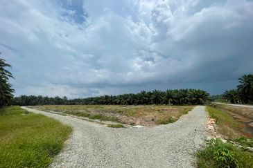 🔥🔥 Tanah Malay Reserved Di Sri Gading Parit Burah Parit Raja Pahat Geran Individu Untuk Dijual 🔥🔥