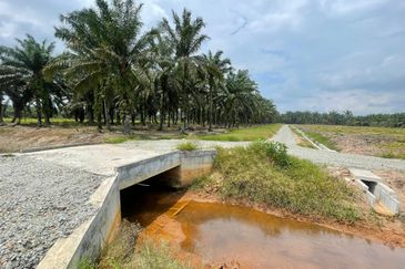 🔥🔥 Tanah Malay Reserved Di Sri Gading Parit Burah Parit Raja Pahat Geran Individu Untuk Dijual 🔥🔥