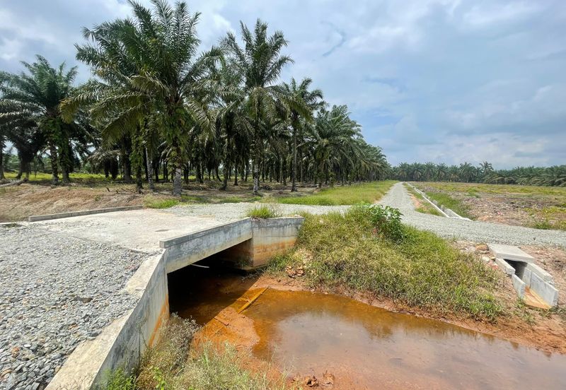 🔥🔥 Tanah Malay Reserved Di Sri Gading Parit Burah Parit Raja Pahat Geran Individu Untuk Dijual 🔥🔥