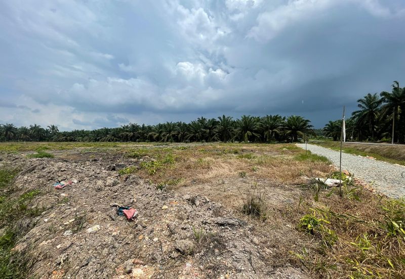 🔥🔥 Tanah Malay Reserved Di Sri Gading Parit Burah Parit Raja Pahat Geran Individu Untuk Dijual 🔥🔥