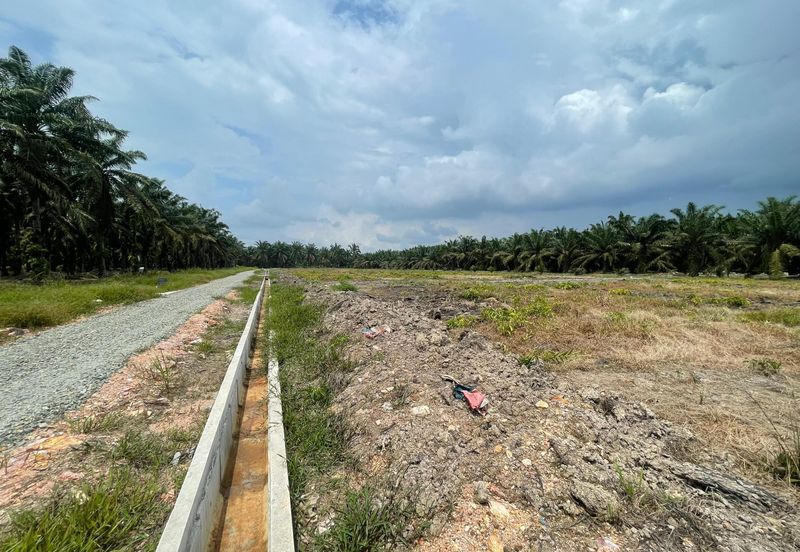 🔥🔥 Tanah Malay Reserved Di Sri Gading Parit Burah Parit Raja Pahat Geran Individu Untuk Dijual 🔥🔥