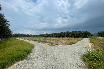 🔥🔥 Tanah Malay Reserved Di Sri Gading Parit Burah Parit Raja Pahat Geran Individu Untuk Dijual 🔥🔥