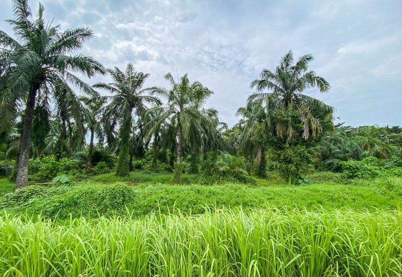 🔥🔥Tanah Untuk Dijual Rizab Melayu Kuala Selangor For Sale 🔥🔥