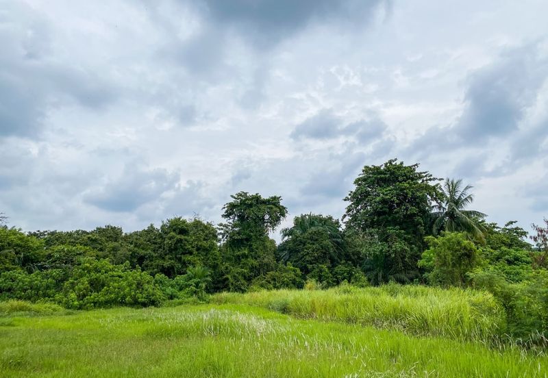 🔥🔥Tanah Untuk Dijual Rizab Melayu Kuala Selangor For Sale 🔥🔥