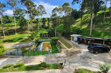 Staycation Resort Negeri Sembilan For Sale in Jelebu with more than 50+ Durian Tree