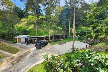 Staycation Resort Negeri Sembilan For Sale in Jelebu with more than 50+ Durian Tree