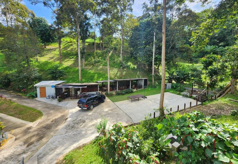 Staycation Resort Negeri Sembilan For Sale in Jelebu with more than 50+ Durian Tree