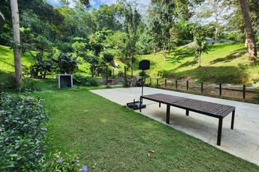 Staycation Resort Negeri Sembilan For Sale in Jelebu with more than 50+ Durian Tree