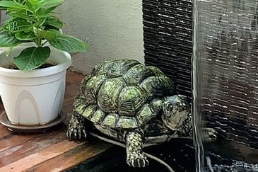 Lukisan @ Alam Impian