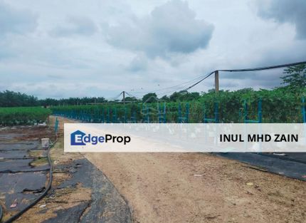 Tanah Pertanian Untuk Dijual Di Kg Batang Rokan, Gemencheh Negeri Sembilan, Negeri Sembilan, Tampin