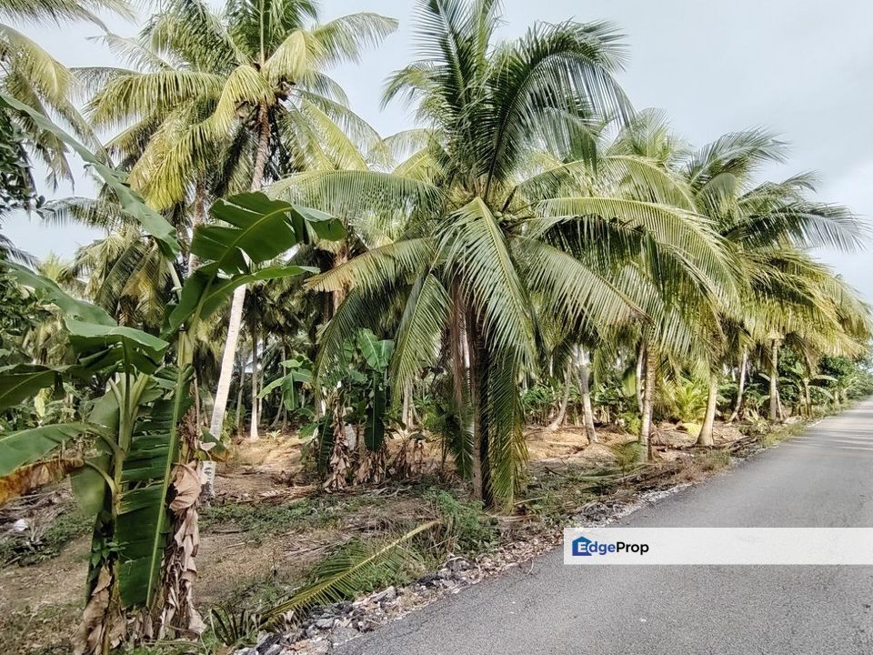 Tanah Pertanian Sekendi, Selangor, Sabak Bernam