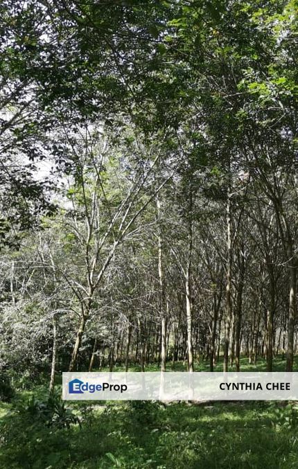 Agricultural Land in Negeri Sembilan FOR SALE, Negeri Sembilan, Rembau