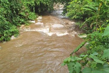 Tanah Dusun Durian Kelapa Sawit Cameron Highland Pahang 550 ekar Freehold Ada Anak Sungai