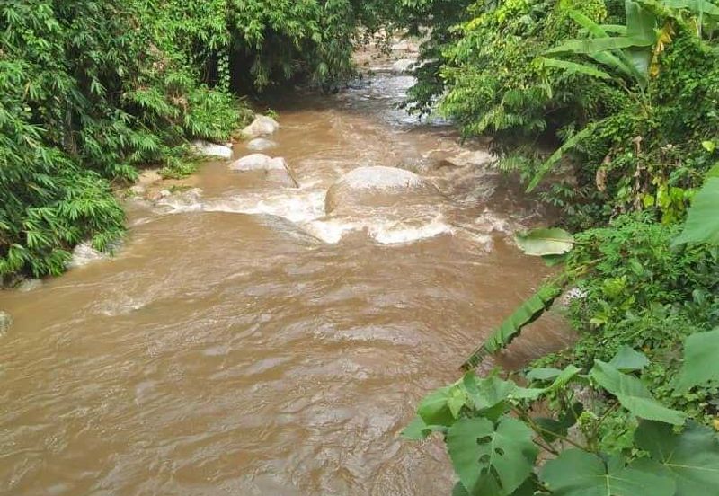 Tanah Dusun Durian Kelapa Sawit Cameron Highland Pahang 550 ekar Freehold Ada Anak Sungai