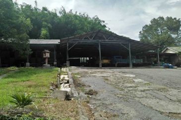 Tanah Dusun Durian Kelapa Sawit Cameron Highland Pahang 550 ekar Freehold Ada Anak Sungai