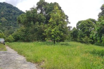 Tanah Dusun Durian Kelapa Sawit Cameron Highland Pahang 550 ekar Freehold Ada Anak Sungai