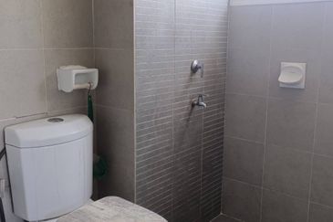 Saujana Aster, Precinct 11