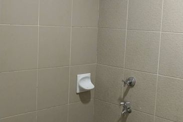 Saujana Aster, Precinct 11