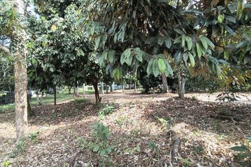 Jalan Bandar Bangi Lama 