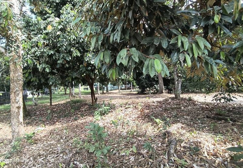 Jalan Bandar Bangi Lama 