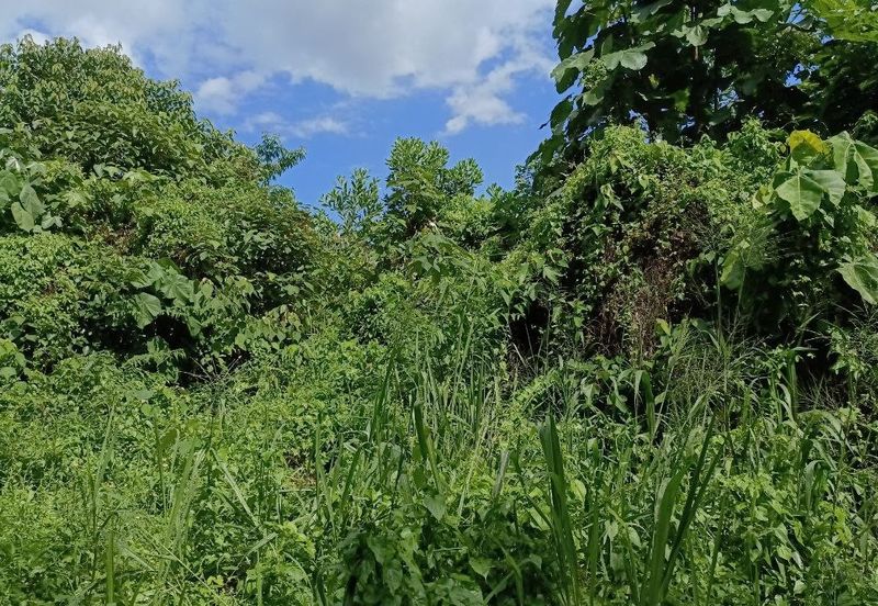 Kampung Sungai Merab Dalam