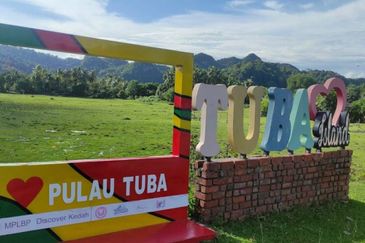 Pulau Tuba