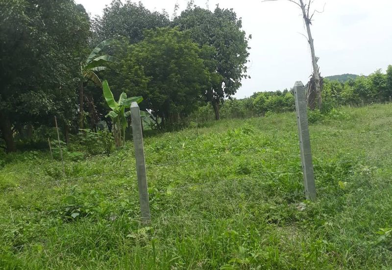 Avens Residence @ Southville City