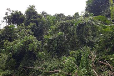 Avens Residence @ Southville City