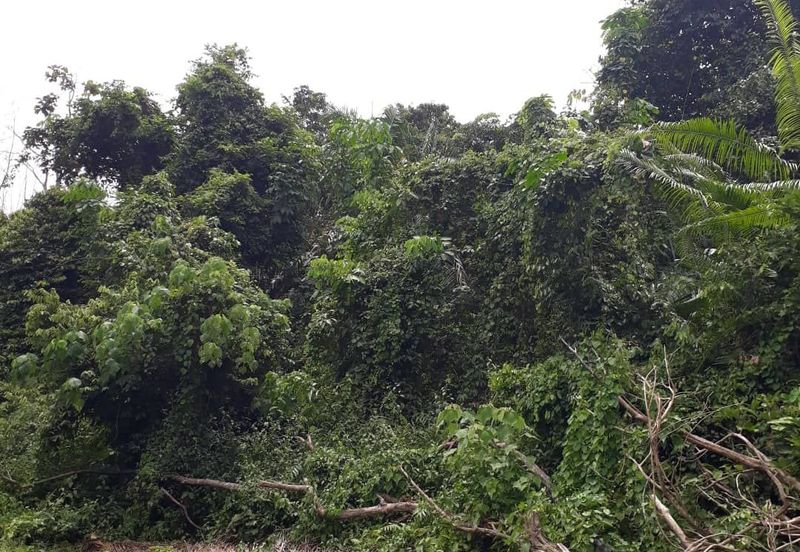 Avens Residence @ Southville City