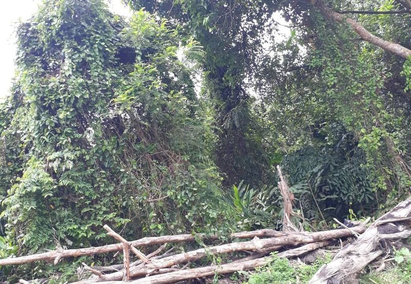 Avens Residence @ Southville City