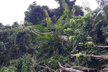 Avens Residence @ Southville City