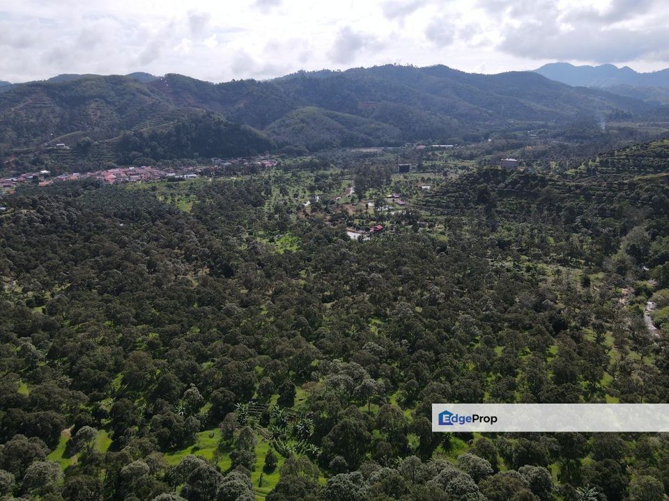 Raub Pahang Tanah Kebun Dusun Durian Freehold 48 ekar sungai bungalow, Pahang, Raub