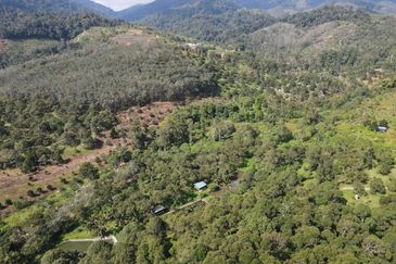 Raub Pahang Tanah Kebun Dusun Durian Freehold 48 ekar sungai bungalow