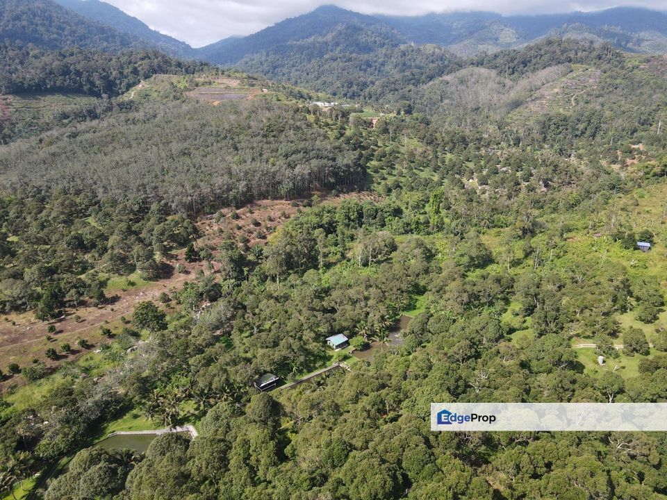 Raub Pahang Tanah Kebun Dusun Durian Freehold 48 ekar sungai bungalow, Pahang, Raub