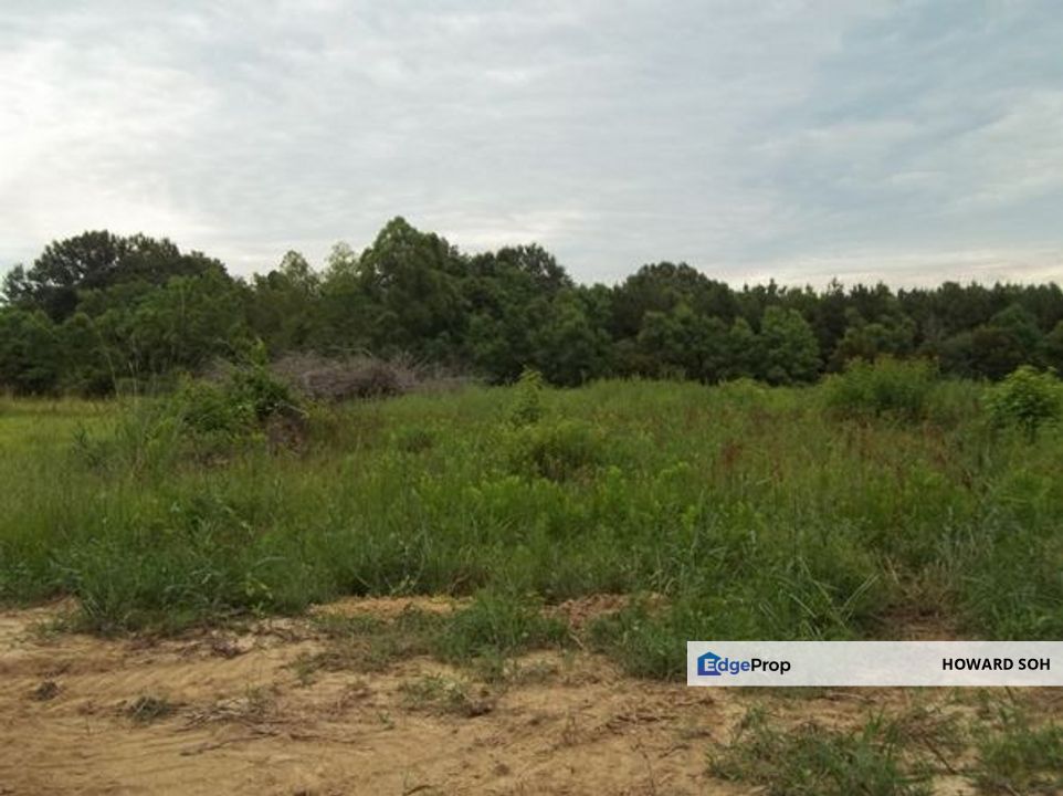 Big Agriculture Land Shah Alam,great location, Selangor, Shah Alam