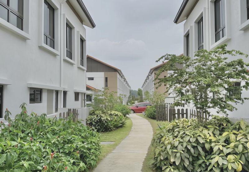 Setia Warisan Tropika (Belladonna)